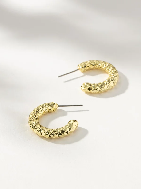 Earrings Shine Test-Scaled Hoop Earrings