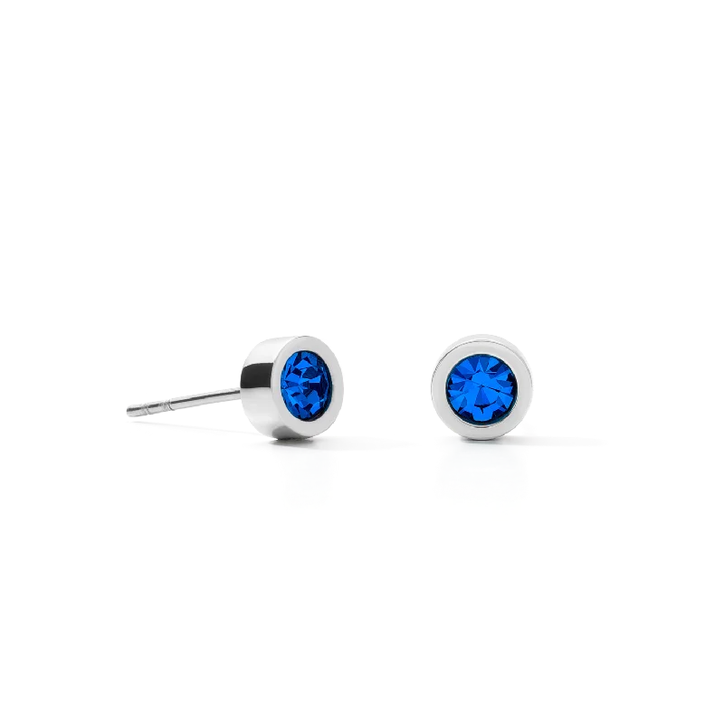 Best Earrings For Office Wear-Earrings Crystal & stainless steel silver bleu