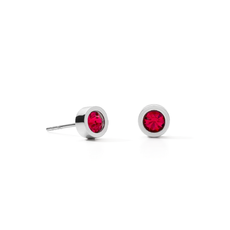 Earrings With Silver Shine-Earrings Crystal & stainless steel silver red